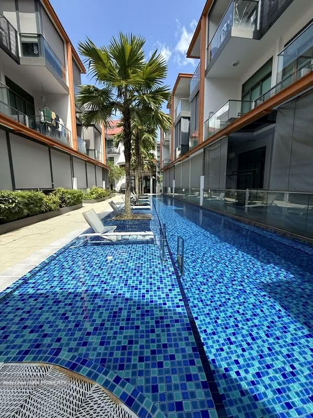 Floraview (D20), Apartment #617604561